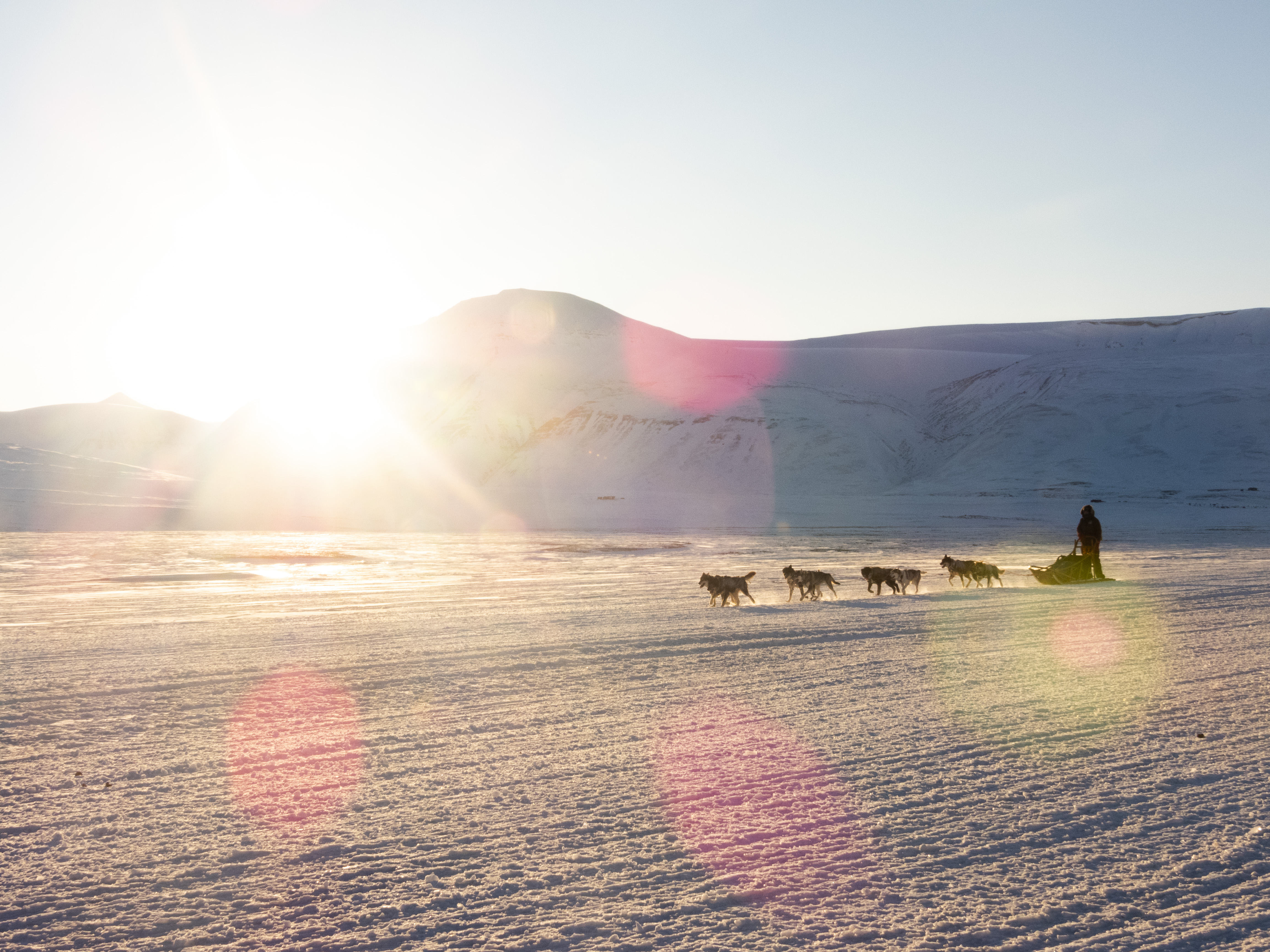 Dog sledding in Adventdalen (horizontal)_Håkon Daae Brensholm – Visit Svalbard.jpg