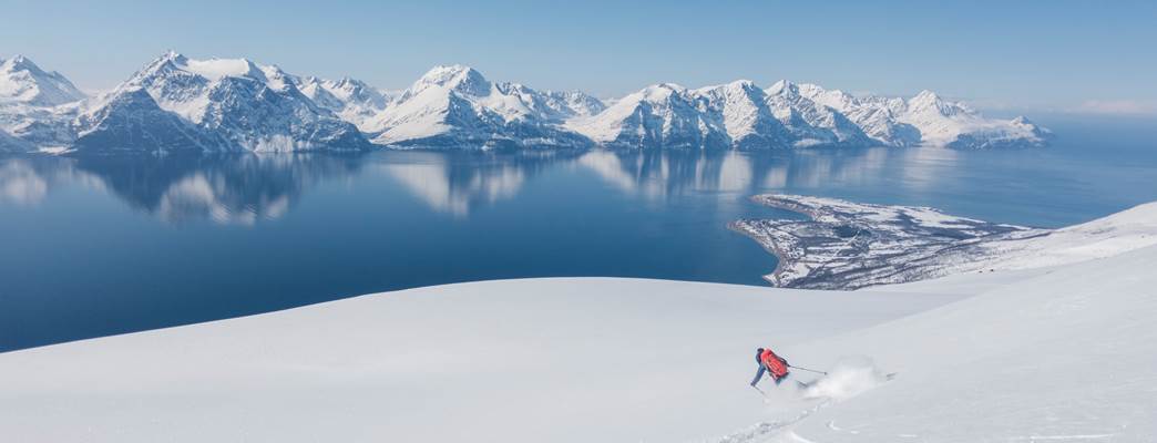 Person skiing down snow covered mountain towards a fjord in the background - 写真:Hendrik Morkel on Unsplash