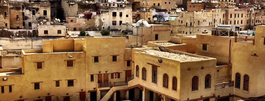 Gamlebyen i Fez. Foto: Ginni Wiik