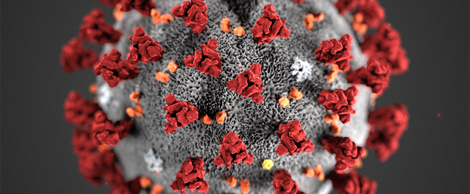 Norrasse reisijad suunatakse tagasi või pannakse karantiini - Foto:Foto: CDC, Alissa Eckert