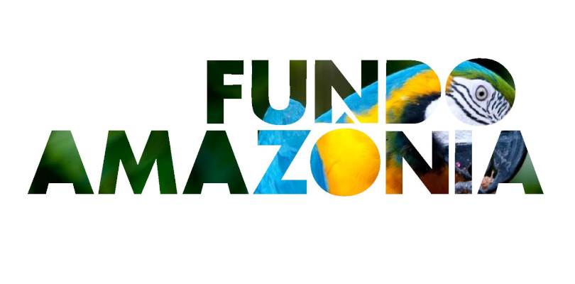 Fundo Amazônia - Foto:Fundo Amazônia/Divulgação