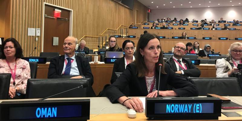 C2 Ecosoc - Photo:NorwayUN