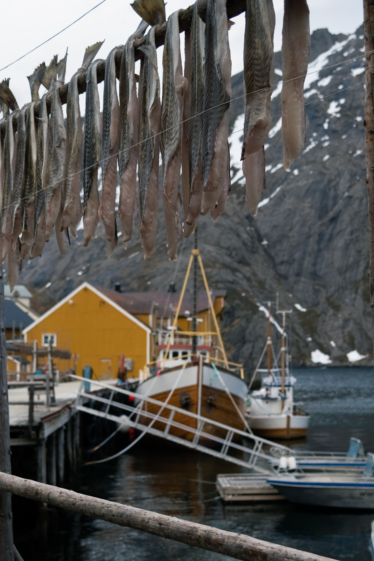 Drying cod in the village of Nusfjord_Aurora Stenersen -  Visit Norway .png