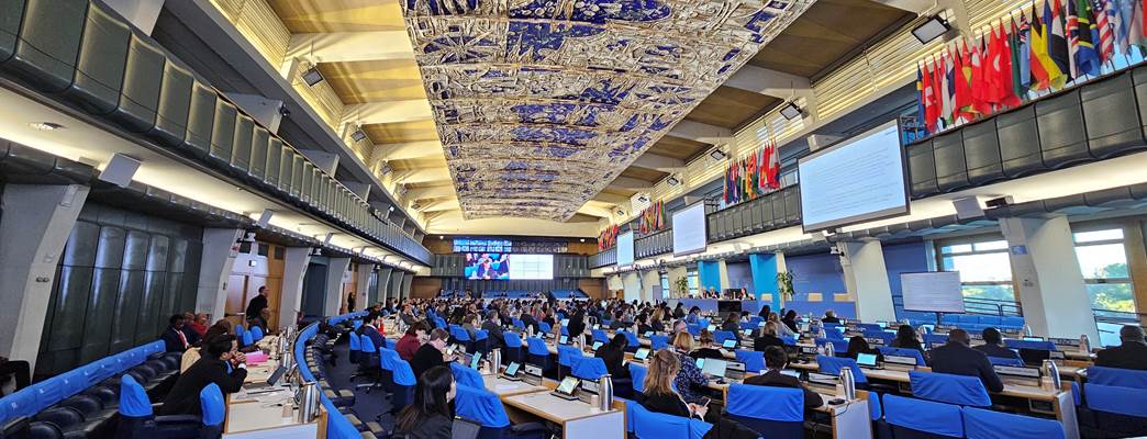 FAO 176th Council