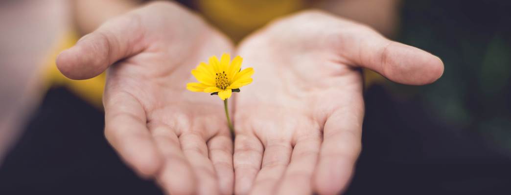 Cooperación para el desarrollo - Foto:Foto: Lina Trochez - Unsplash