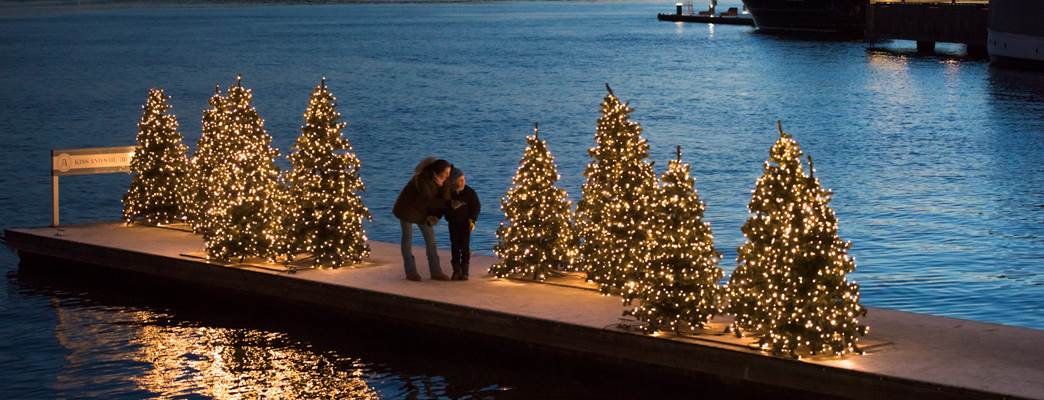 Christmas trees in Oslo - Photo:CH  - VisitNorway.com