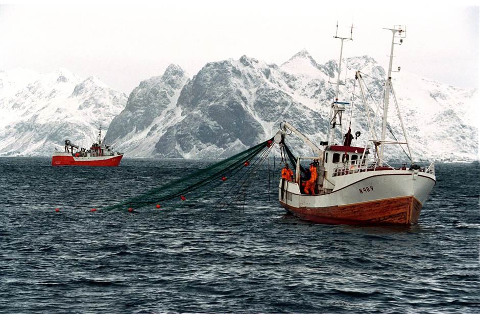 Fiskebåter