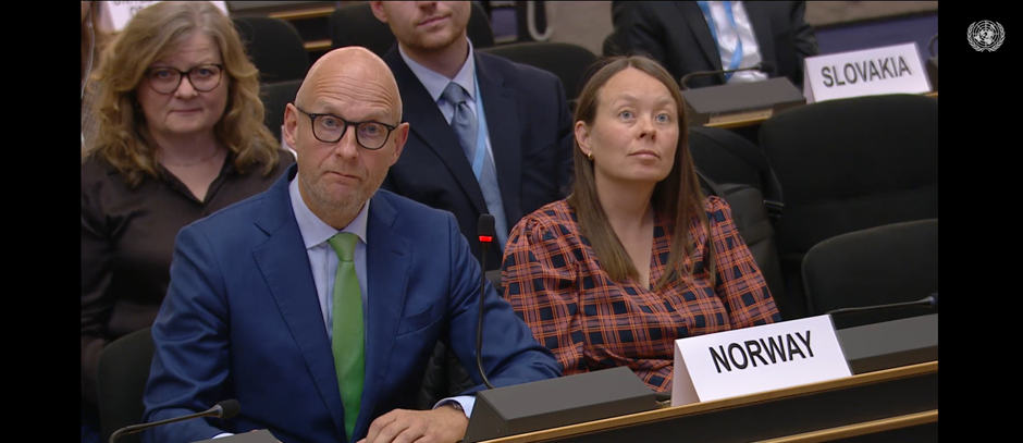 UNHCR EXCOM 76 Session Amb. Tormod C. Endresen - Photo:UNWEBTV Mission Norway