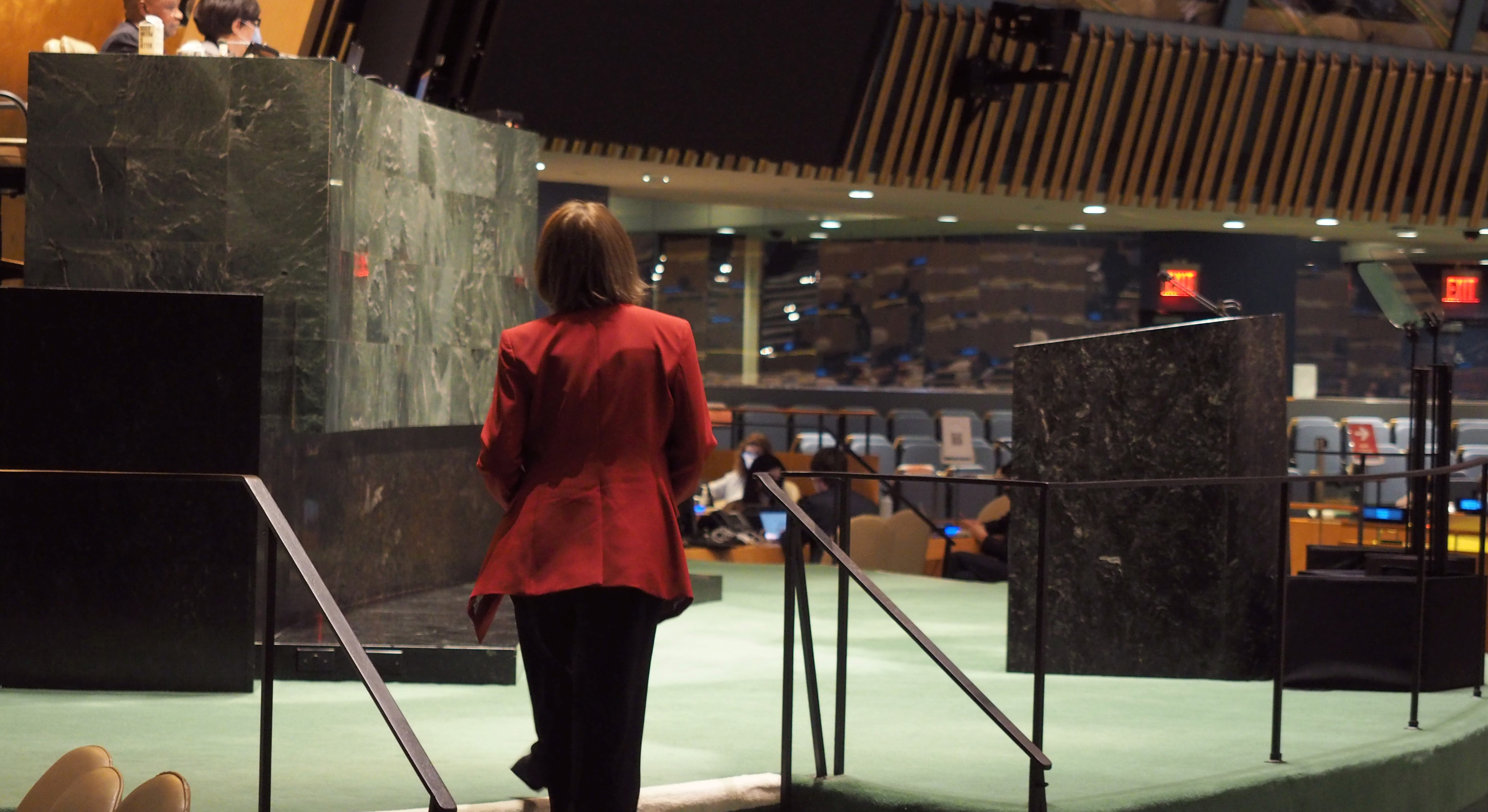 Norway secures support to historic resolution on global pandemic