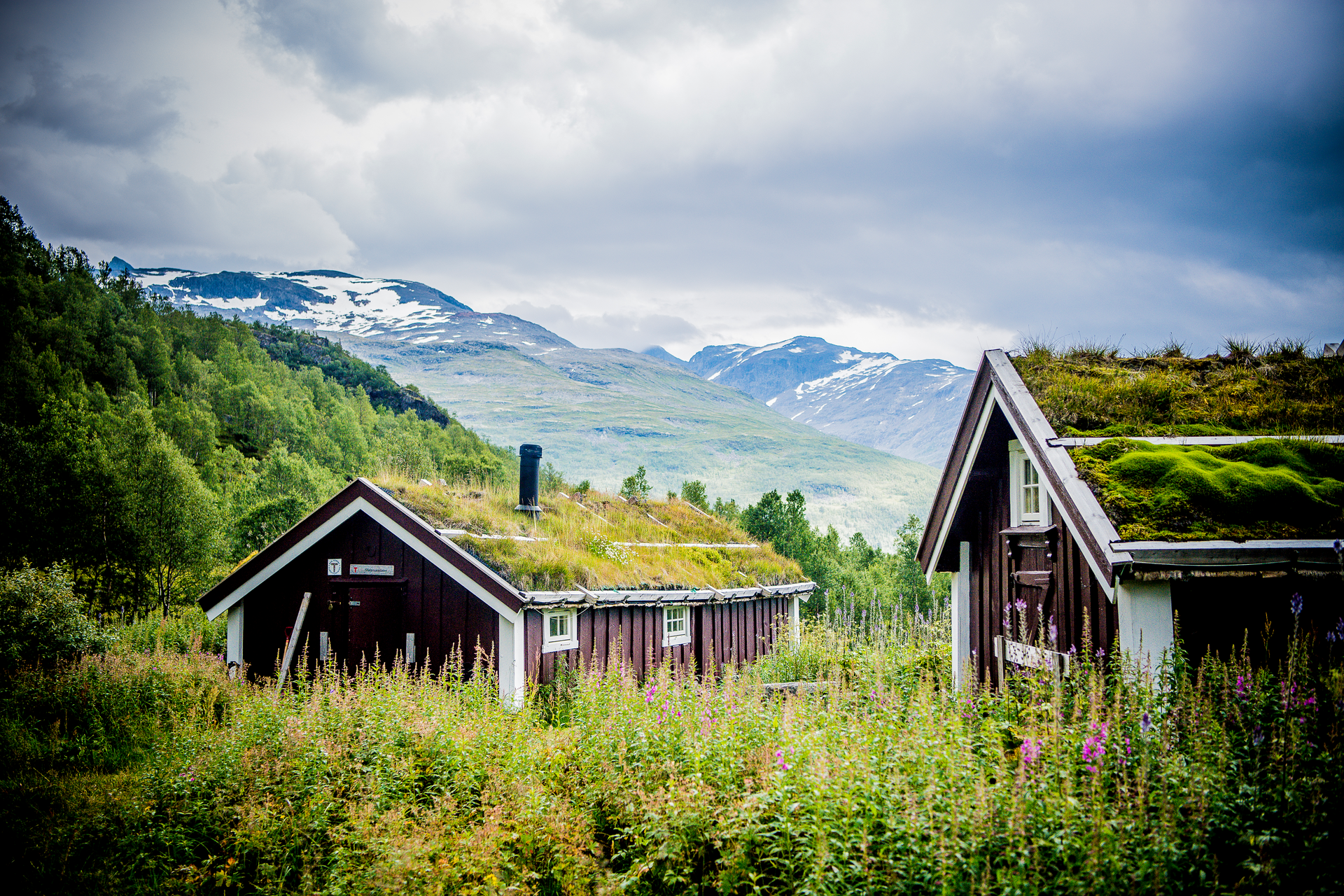 Stølsmaradalen_Thomas Rasmus Skaug - VisitNorway.com.png