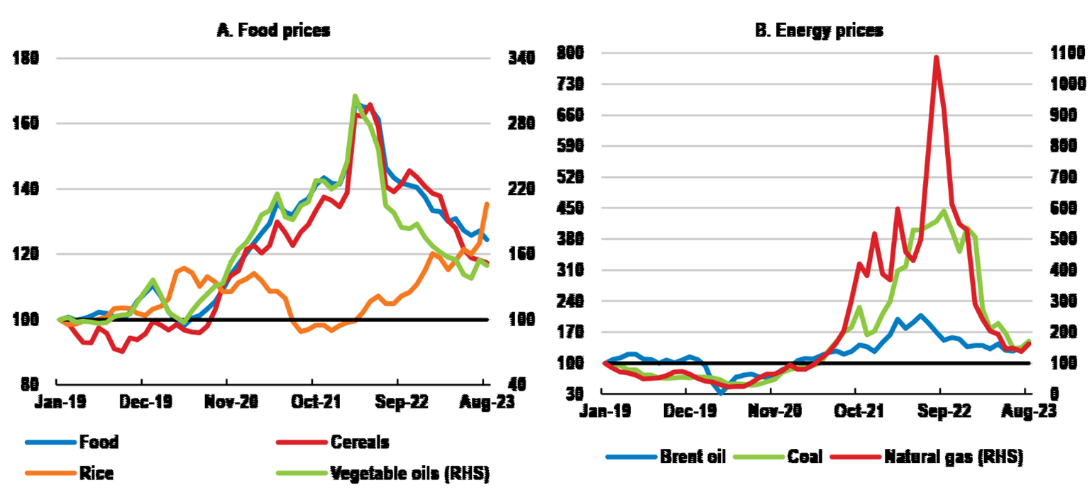 9.20 Figure 5 Further disruptions in energy and food markets remain a risk.png