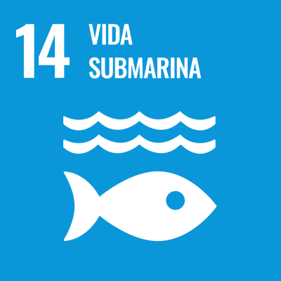 ODS 14 vida submarina