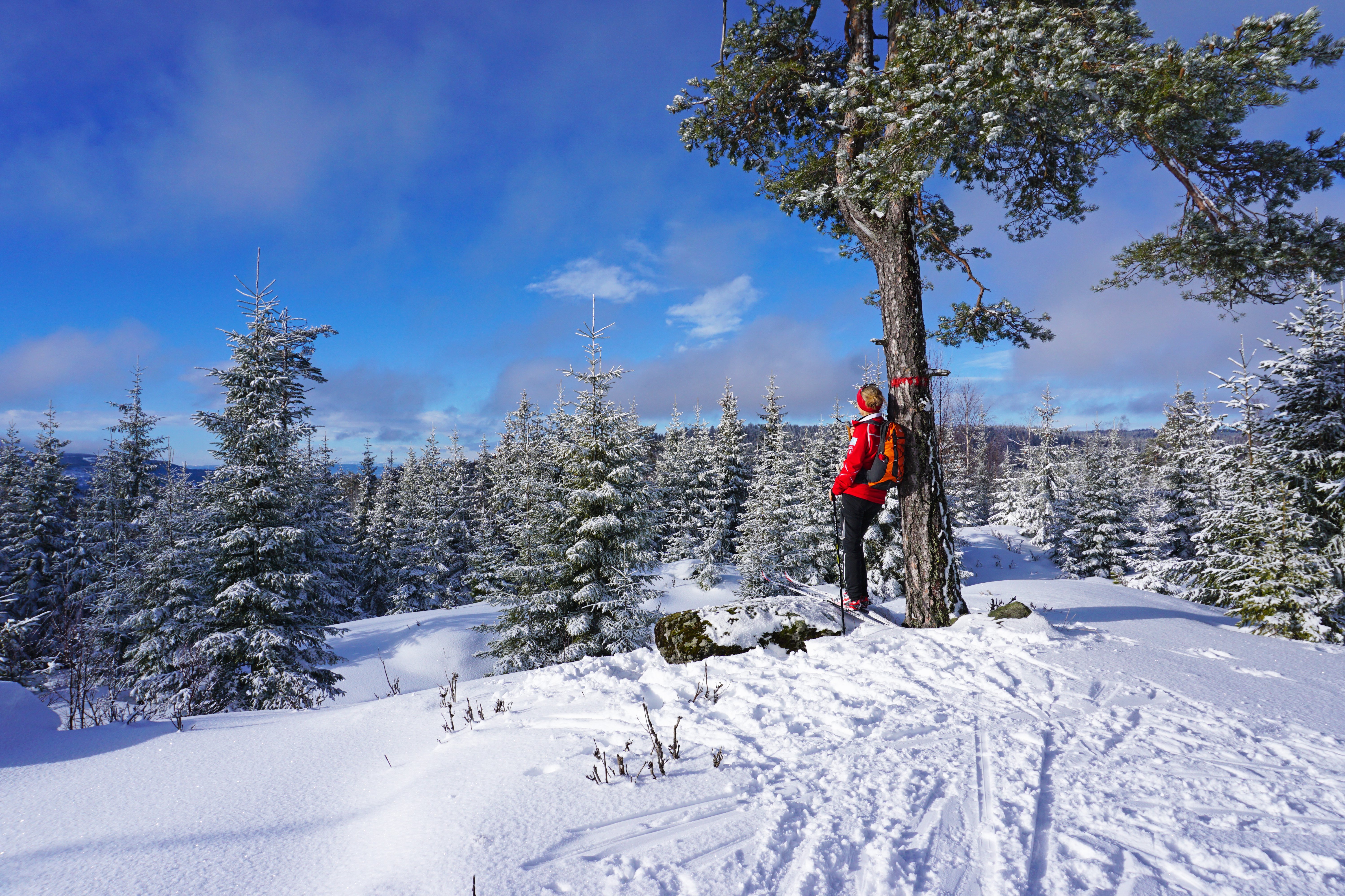 Skitur_i_marka_VO03844_Foto_Tord_Baklund.jpg