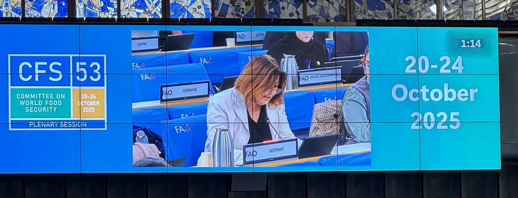 Ambassador Kjersti Sommerset's statement on protracted crises. - Photo:Pernille Haakestad-Bjaaland