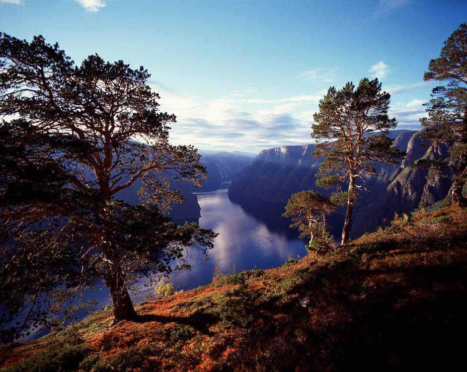 autumn in Norway - 写真:Frithjof Fure - VisitNorway.com