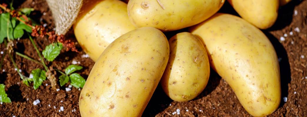 Alimentos descarbonizados papas - Foto:Foto: PXHere