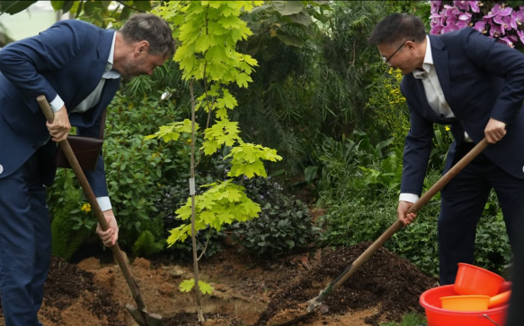 Future Library Tree Planting