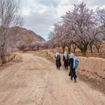 Afghan girls going to school, 2021, Sayghan district of Bamiyan province, Afghanistan.