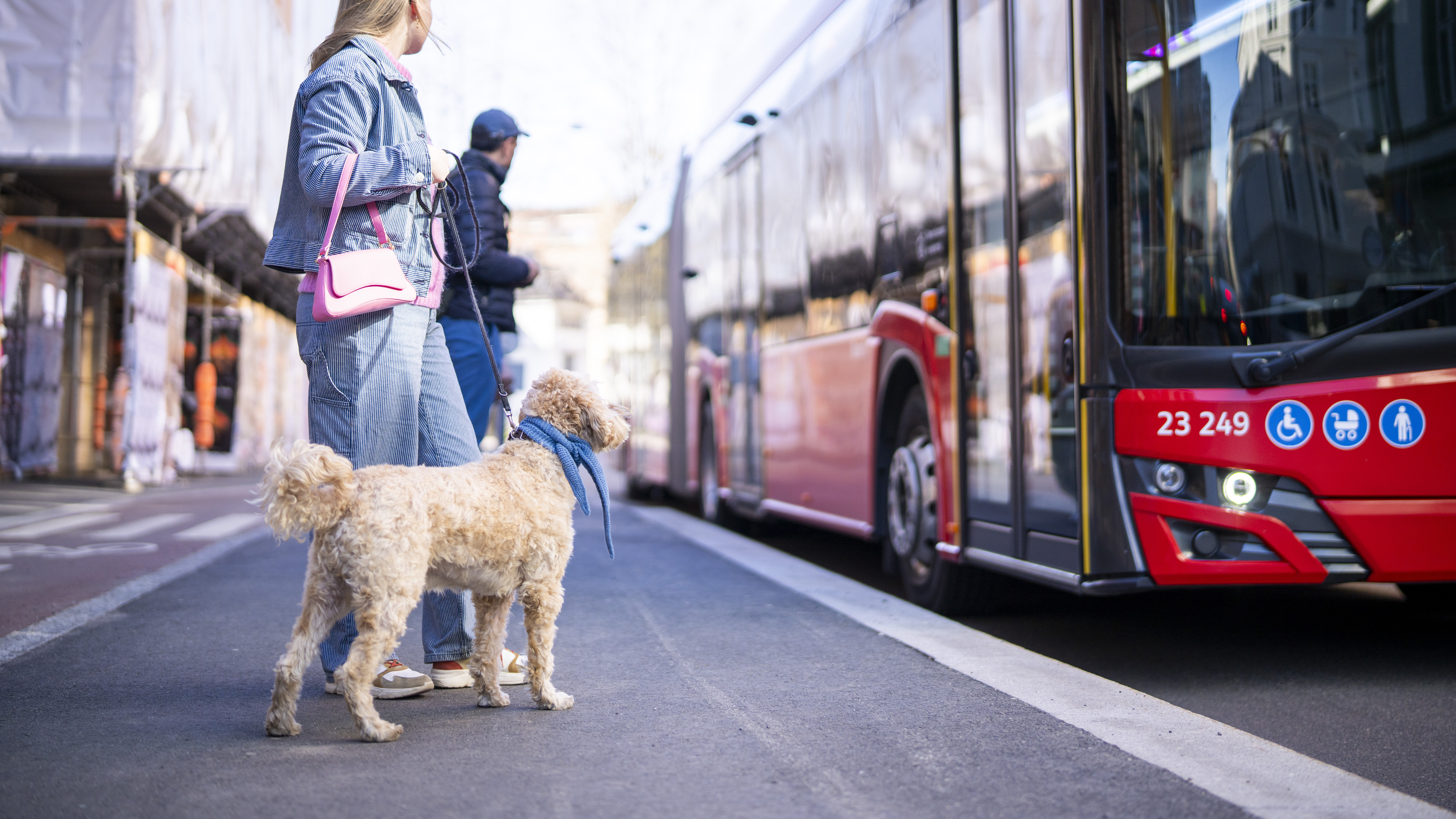 Bus ride with dog in Oslo_Fredrik Ahlsen_Visit Norway.jpg