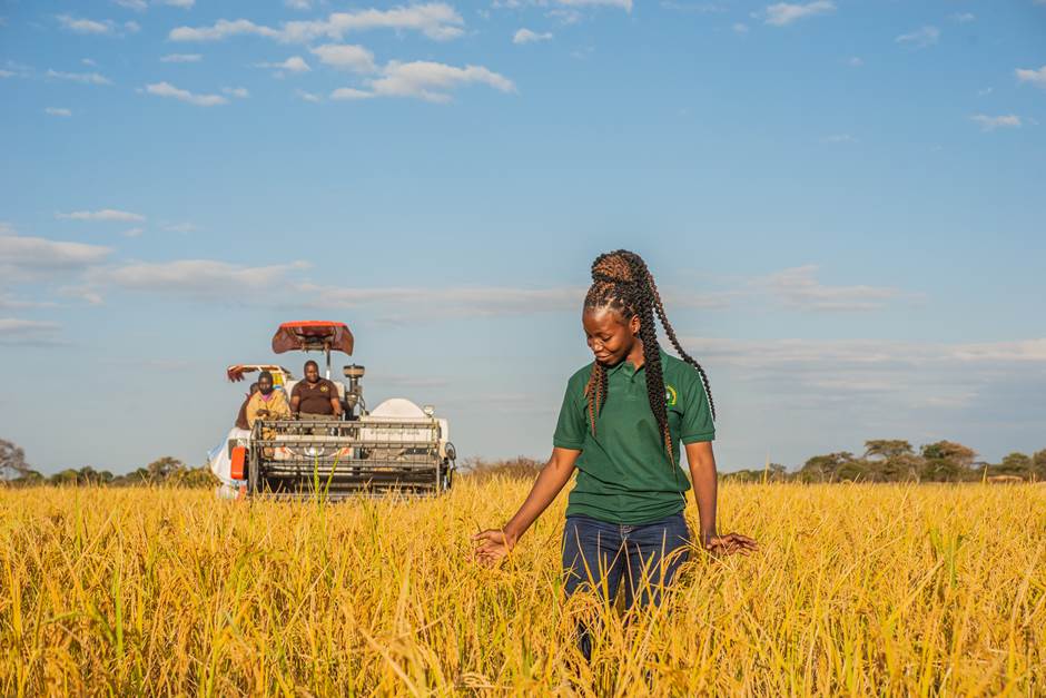 Tanzania agriculture - Photo:Photo: The Royal Norwegian Society for Development