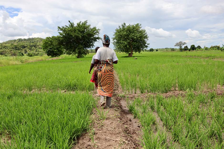 Tanzania farmer
