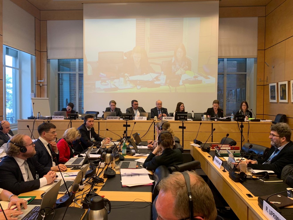 Human Rights Norway's CESCR hearing 25.02.2020 Norway in Geneva