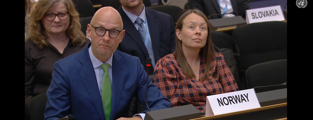 UNHCR EXCOM 76 Session Amb. Tormod C. Endresen - Photo:UNWEBTV Mission Norway