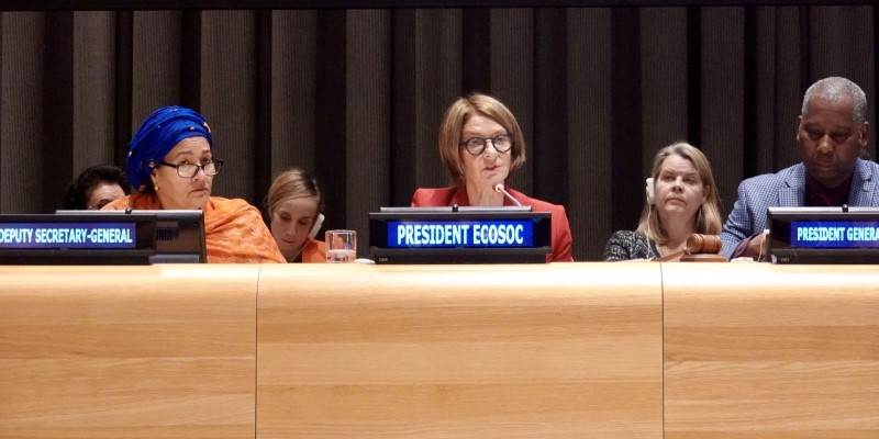 Brief PGA and Ecosoc