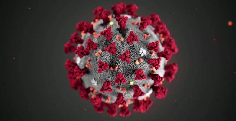 Corona virus illustration - Photo:WHO