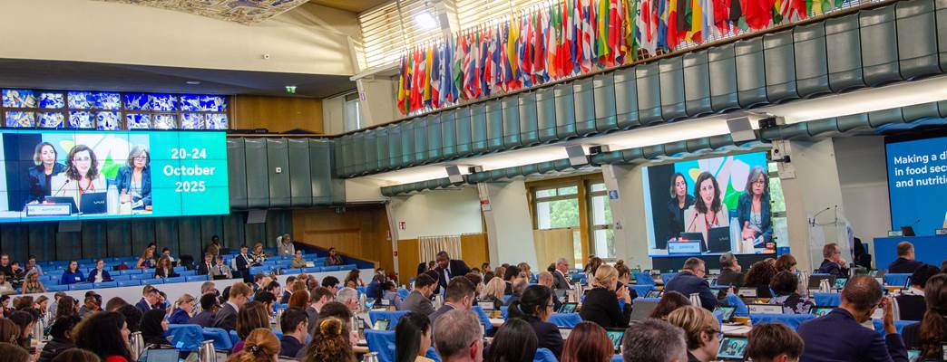 Picture of the Plenary Hall wherein Ms. Anita Utheim Iversen held her statement. - Photo:Markus Tonholt Hovland