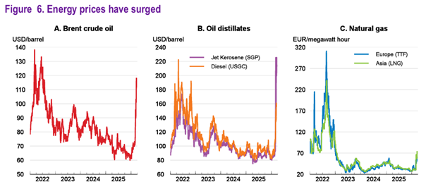 3.27 Figure 6 Energy prices have surged.png