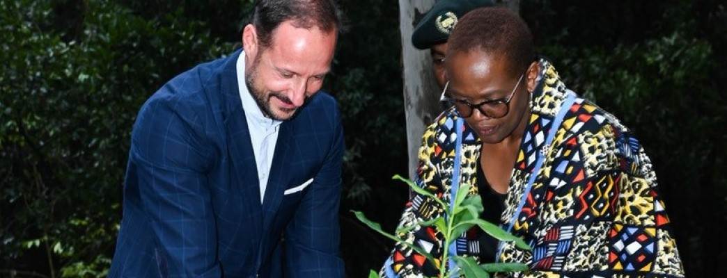 H.K.H. Kronprins Haakon på besøk i Kenya. Her under treplanting med Wanjira Mathai. - Photo:Ambassaden i Nairobi / Øystein Størkersen