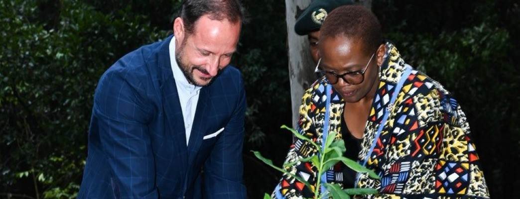 H.K.H. Kronprins Haakon på besøk i Kenya. Her under treplanting med Wanjira Mathai. - Foto:Ambassaden i Nairobi / Øystein Størkersen