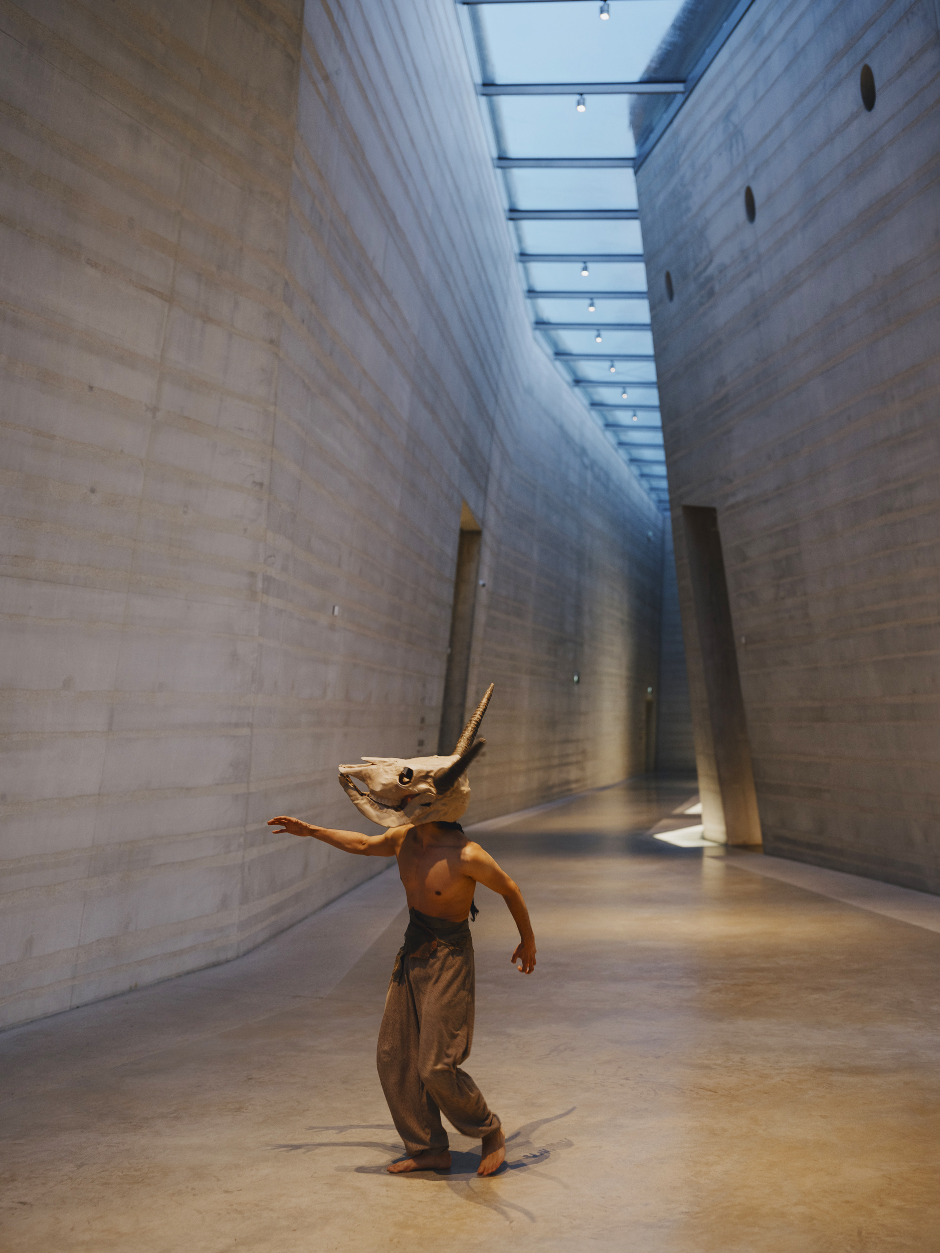Hidden, de Daniel Proietto à Lascaux IV