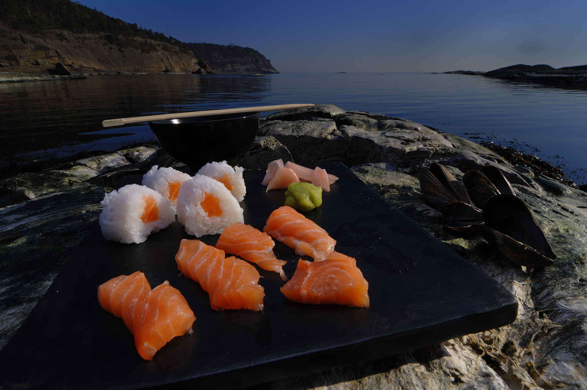Sushis norvégiens