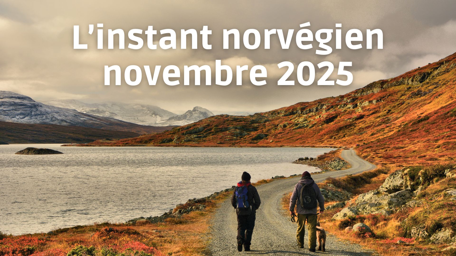 L'instant norvégien novembre 2025