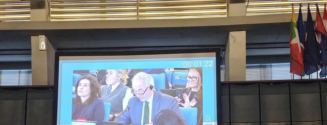 Paul Gulleik Larsen FAO