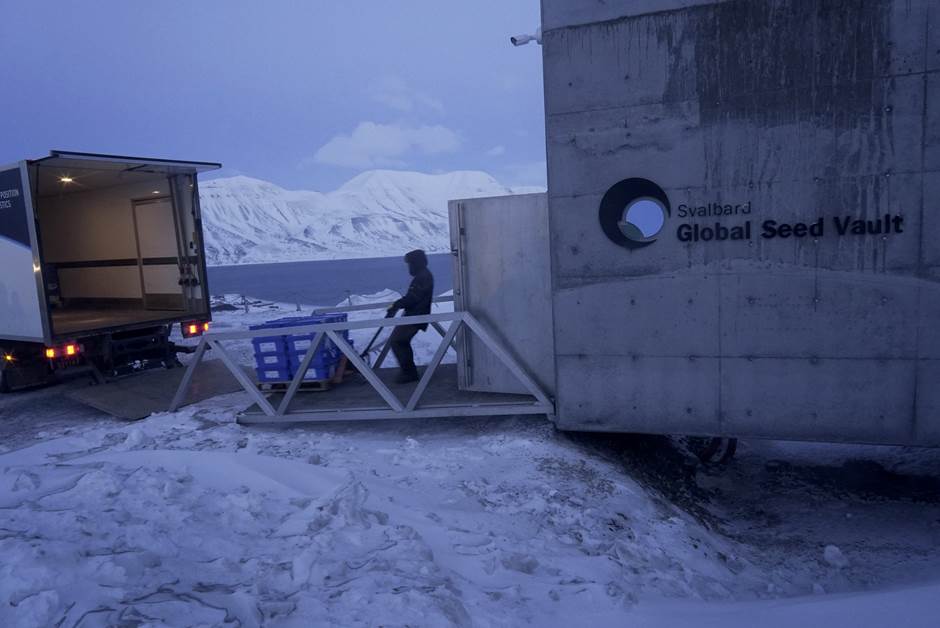 Descarga de cajas de semillas en la Bóveda de Svalbard