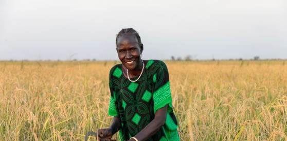Sudan Credit WFP Kevin Gitonga