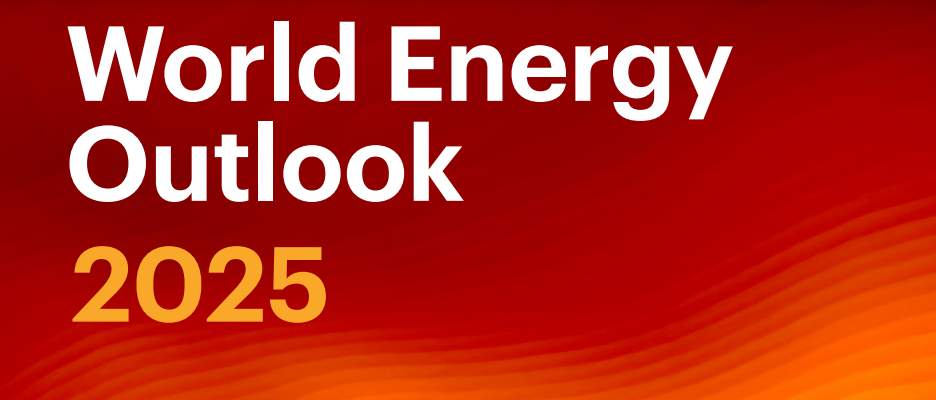 Forsiden av World Energy Outlook 2005 - Foto:Illustrasjon: OECD