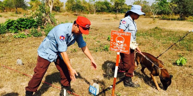 Cambodia demining 2.jpg