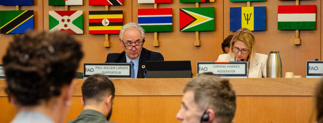 Special Envoy, Paul Gulleik Larsen, during his statement - Photo:Markus Tonholt Hovland