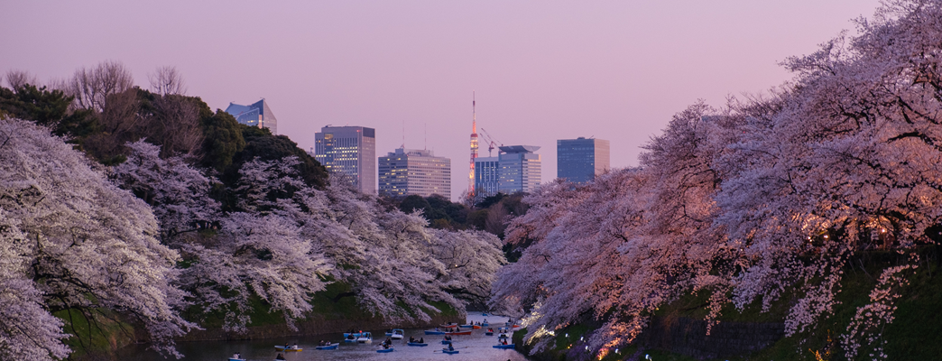 Tokyo_sakura - 写真:Microsoft