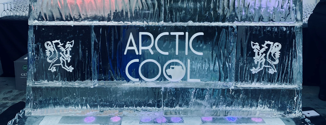 The ice bar at Arctic Cool