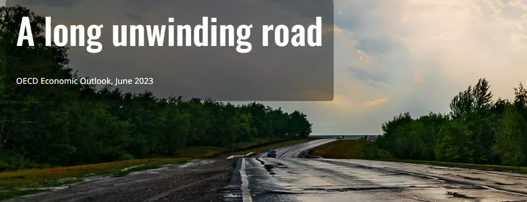 Economic Outlook, a long unwinding road - Foto:Foto: OECD