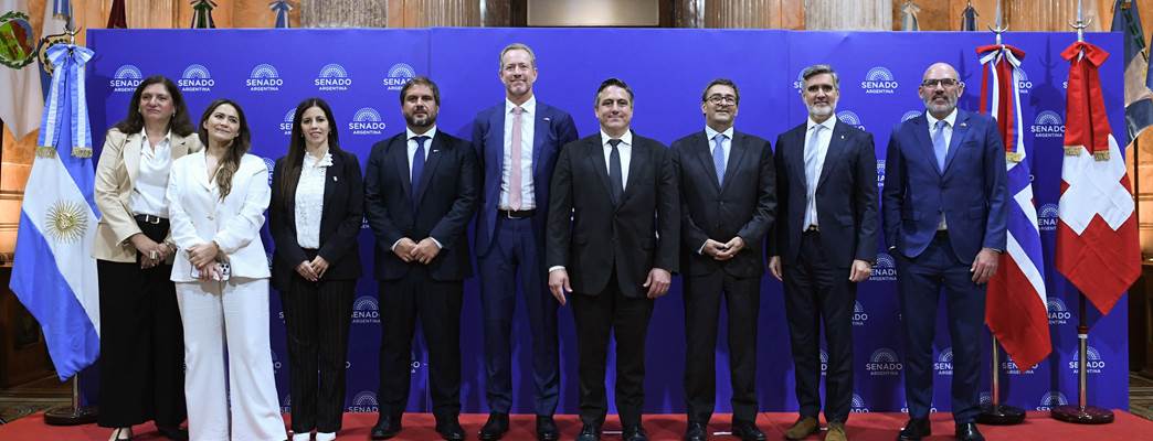 Reunión en el Senado de la Nación - Foto:Luciano Ingaramo/Prensa Senado Arg