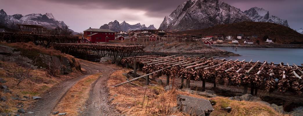 Stockfish Reine Lofoten - Foto:Alex  Conu - VisitNorway.com