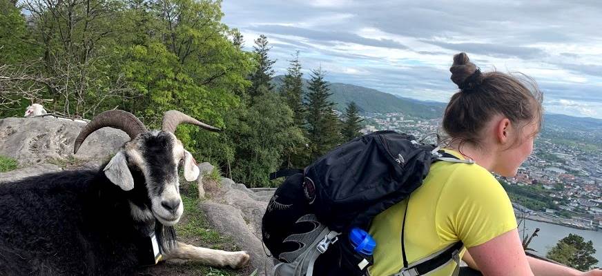 Jente og geit ser på utsikten utover fjellet - Foto:Ida Friis Byrgesen