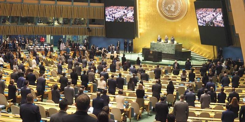 Picture from the UN assembly. - Photo:UD