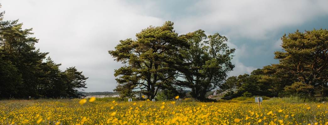 Visit Fredrikstad & Hvaler - 写真:Visit Fredrikstad & Hvaler